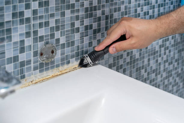 Mold Removal Process in Jonesboro, IL